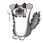 シャー猫