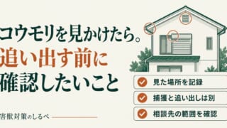 コウモリを見かけたら。追い出す前に確認したいことのイメージ