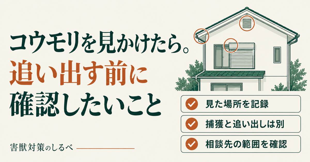 コウモリを見かけたら。追い出す前に確認したいことのイメージ