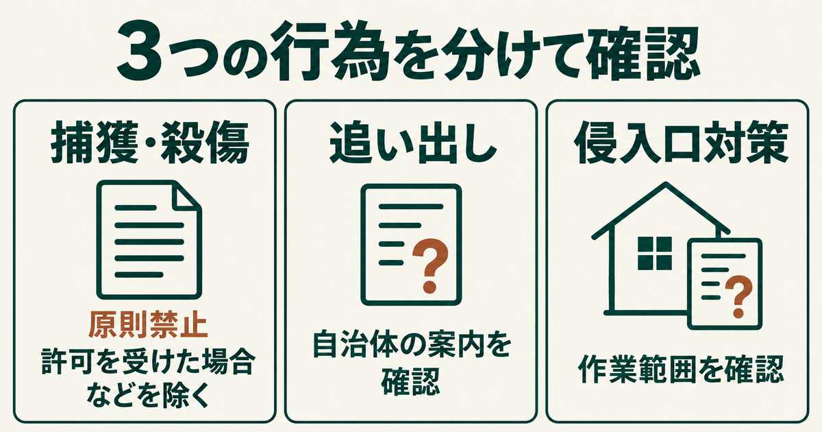 捕獲・追い出し・侵入口対策を別々に確認する図。捕獲・殺傷は原則禁止で、許可を受けた場合などに限られる