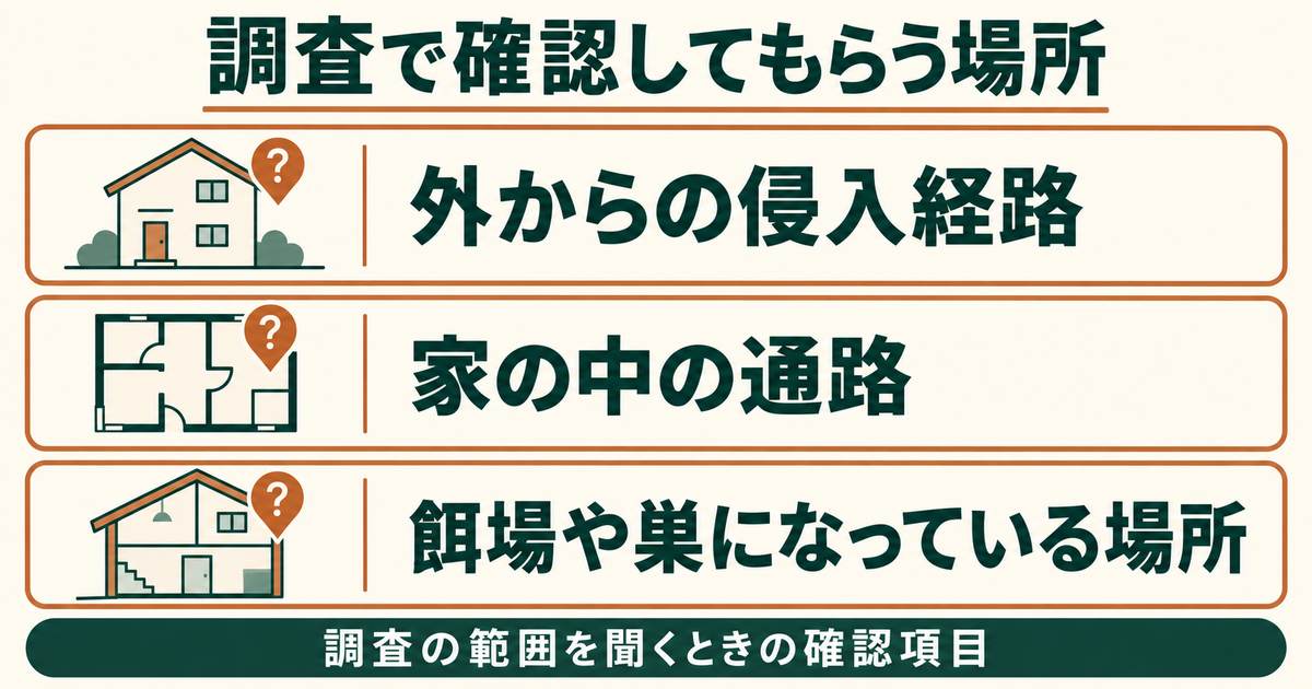 調査で確認してもらう3つの場所:外からの侵入経路、家の中の通路、餌場や巣になっている場所