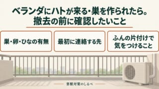 ベランダにハトが来る・巣を作られたら。撤去の前に確認したいこと