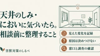 天井のしみ・においに気づいたら。相談前に整理することのイメージ