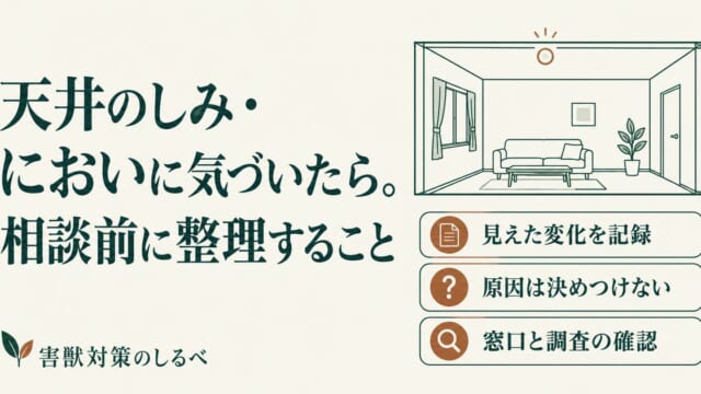 天井のしみ・においに気づいたら。相談前に整理することのイメージ