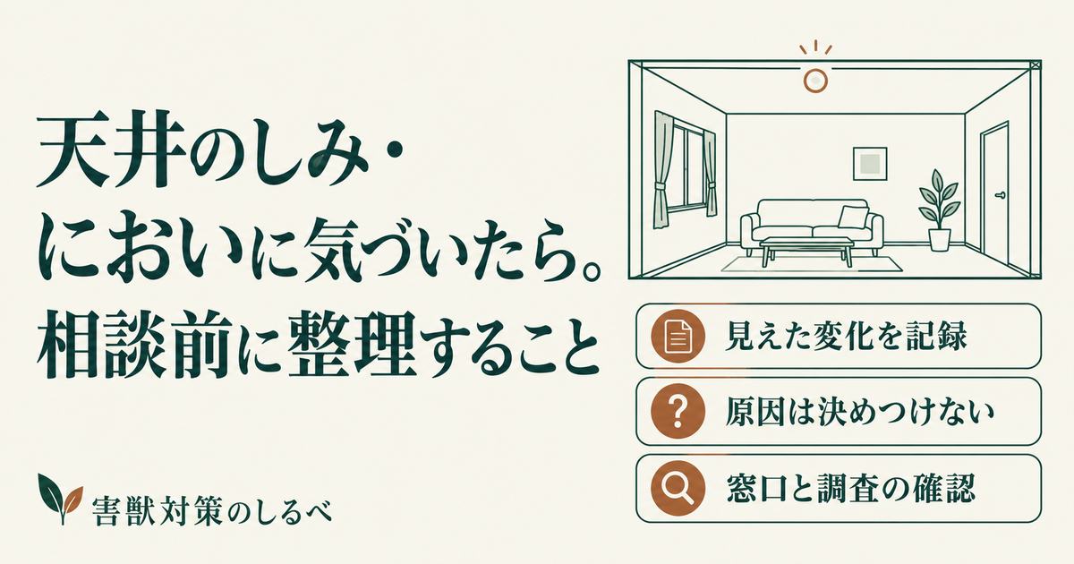 天井のしみ・においに気づいたら。相談前に整理することのイメージ