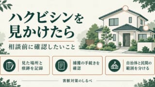 ハクビシンを見かけたら。相談前に確認したいことのイメージ