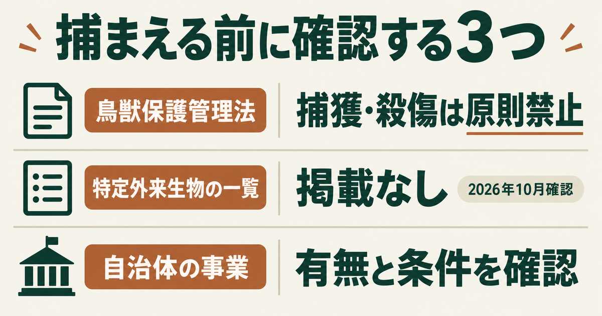 捕まえる前に確認する3つの図。鳥獣保護管理法では捕獲・殺傷は原則禁止、ハクビシンは環境省の特定外来生物の一覧に掲載されていない、自治体の事業の有無と条件を確認する