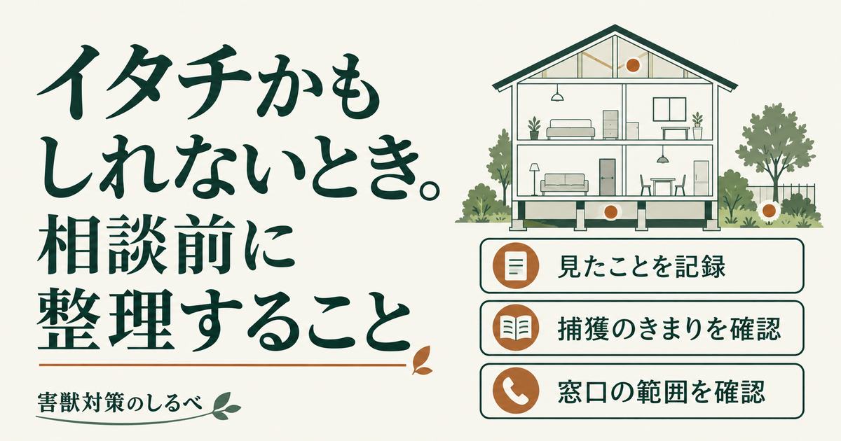 イタチかもしれないとき。相談前に整理することのイメージ