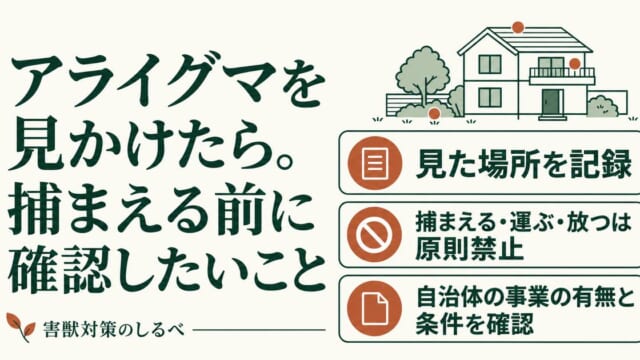 アライグマを見かけたら。捕まえる前に確認したいことのイメージ