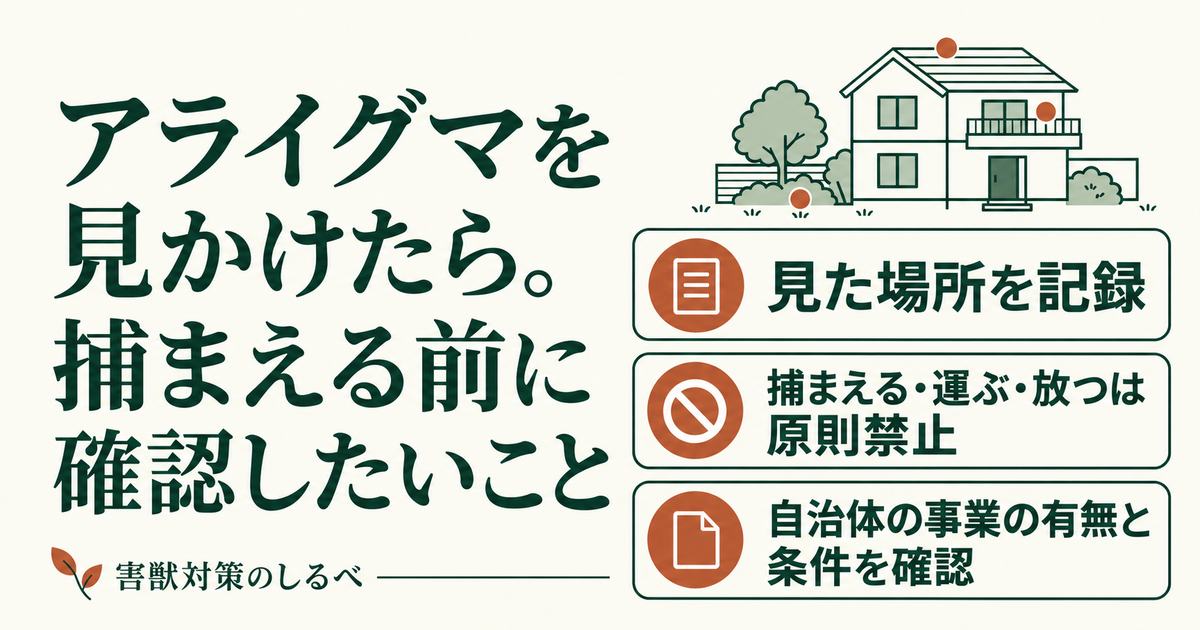 アライグマを見かけたら。捕まえる前に確認したいことのイメージ